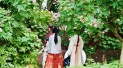 和小姐姐在上海看花海,与小姐姐共赴春日盛宴